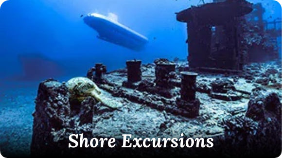 Shore Excursions Tile